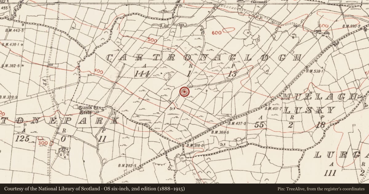 Ordnance Survey six-inch map, 2nd edition (1888–1915) covering the location of Quarry, Cartronaglogh, County Roscommon, with a pin at the register's coordinates