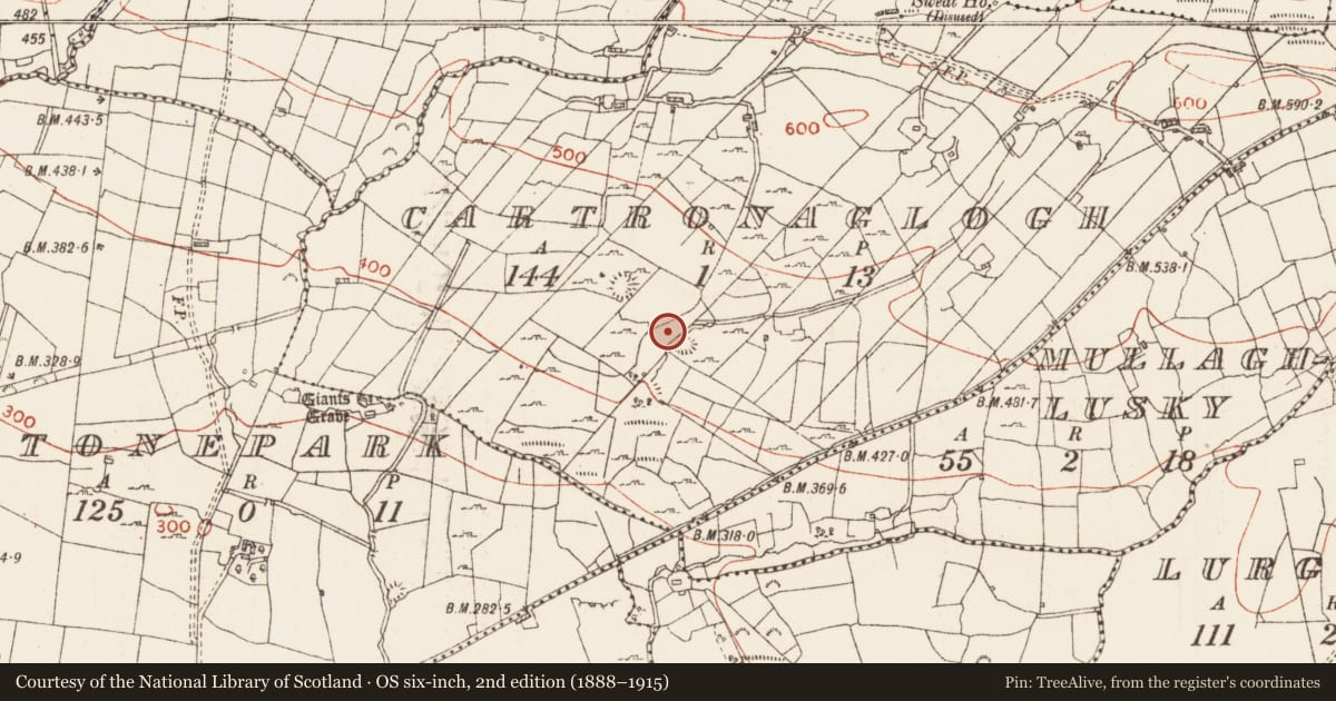 Ordnance Survey six-inch map, 2nd edition (1888–1915) covering the location of Sweathouse, Cartronaglogh, County Roscommon, with a pin at the register's coordinates