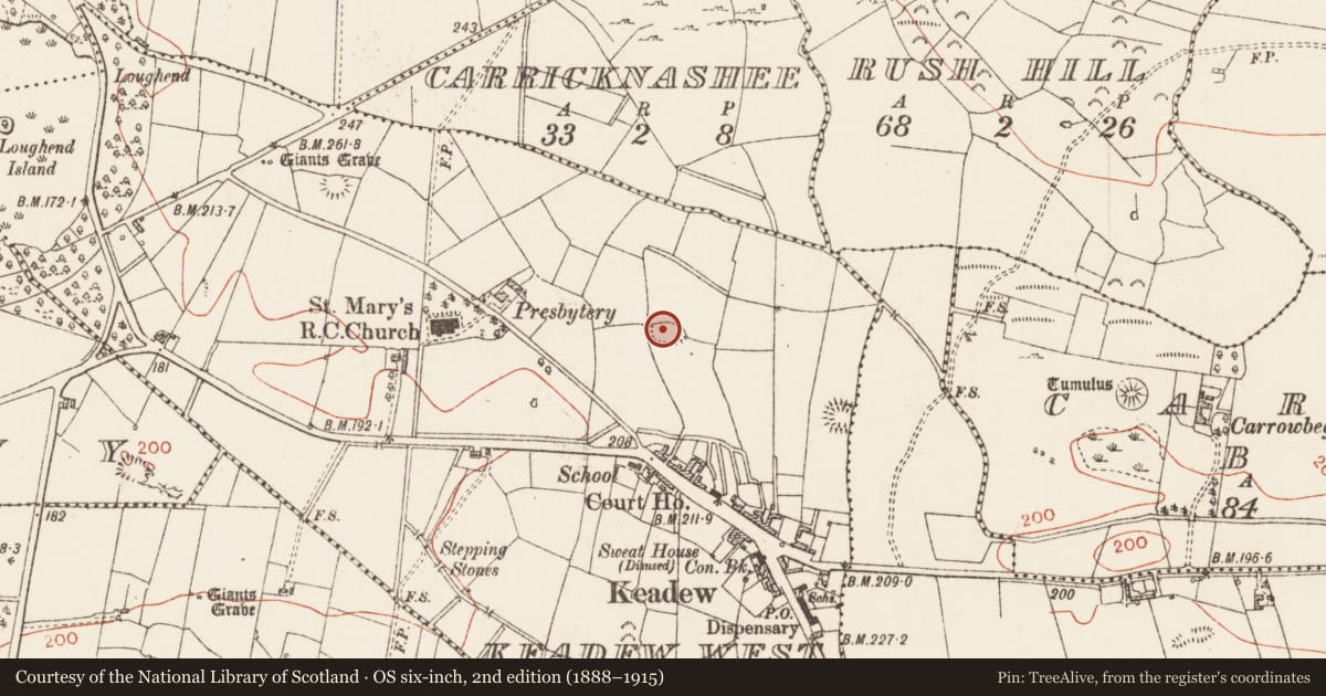 Ordnance Survey six-inch map, 2nd edition (1888–1915) covering the location of Ringfort - rath, Keadew West, County Roscommon, with a pin at the register's coordinates