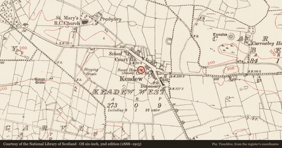 Ordnance Survey six-inch map, 2nd edition (1888–1915) covering the location of Sweathouse, Keadew West, County Roscommon, with a pin at the register's coordinates