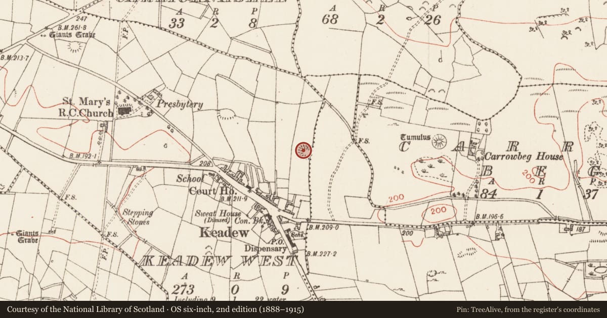 Ordnance Survey six-inch map, 2nd edition (1888–1915) covering the location of Ringfort - rath, Keadew West, County Roscommon, with a pin at the register's coordinates