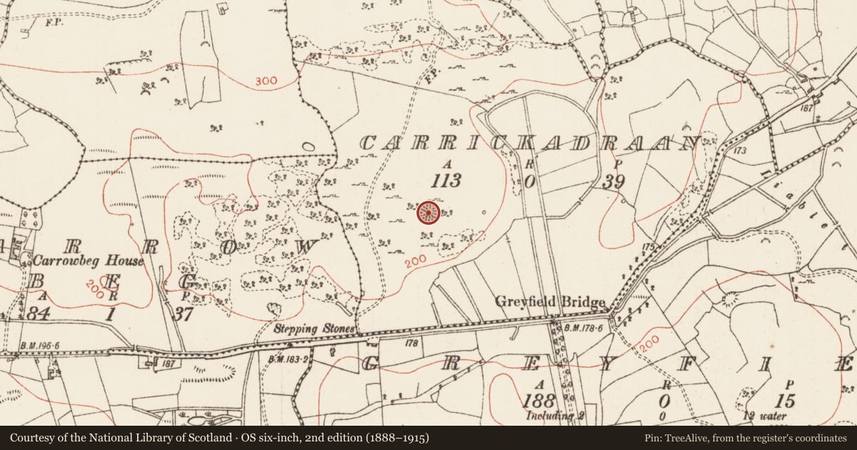 Ordnance Survey six-inch map, 2nd edition (1888–1915) covering the location of Ringfort - cashel, Carrickadraan, County Roscommon, with a pin at the register's coordinates