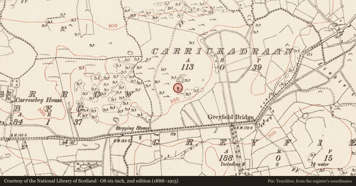Ordnance Survey six-inch map, 2nd edition (1888–1915) covering the location of Ringfort - cashel, Carrickadraan, County Roscommon, with a pin at the register's coordinates