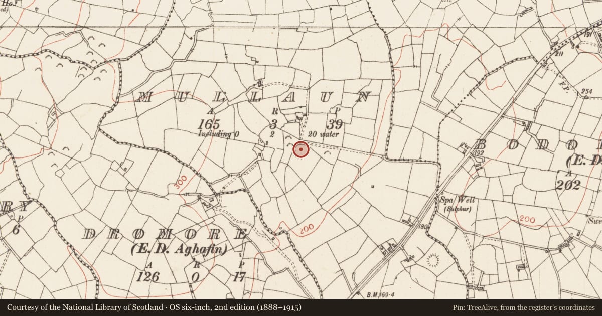 Ordnance Survey six-inch map, 2nd edition (1888–1915) covering the location of Ringfort - rath, Mullaun, County Roscommon, with a pin at the register's coordinates