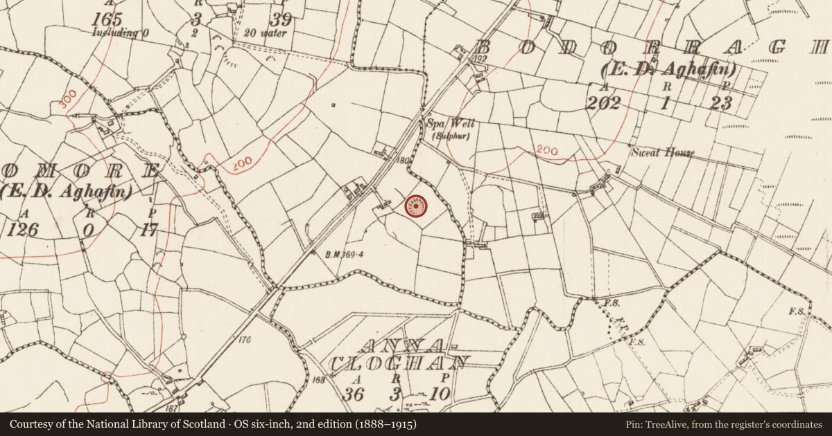 Ordnance Survey six-inch map, 2nd edition (1888–1915) covering the location of Ringfort - rath, Mullaun, County Roscommon, with a pin at the register's coordinates