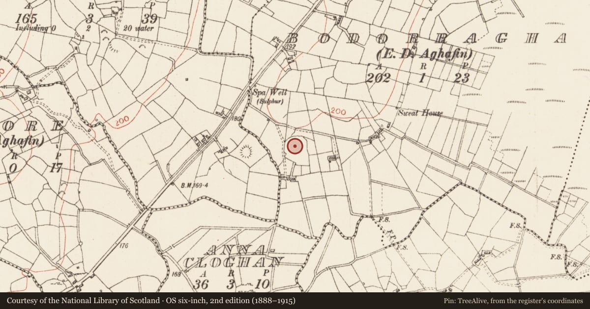 Ordnance Survey six-inch map, 2nd edition (1888–1915) covering the location of Ringfort - rath, Bodorragha, County Roscommon, with a pin at the register's coordinates