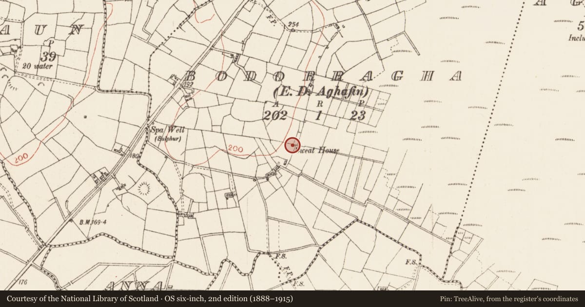 Ordnance Survey six-inch map, 2nd edition (1888–1915) covering the location of Sweathouse, Bodorragha, County Roscommon, with a pin at the register's coordinates