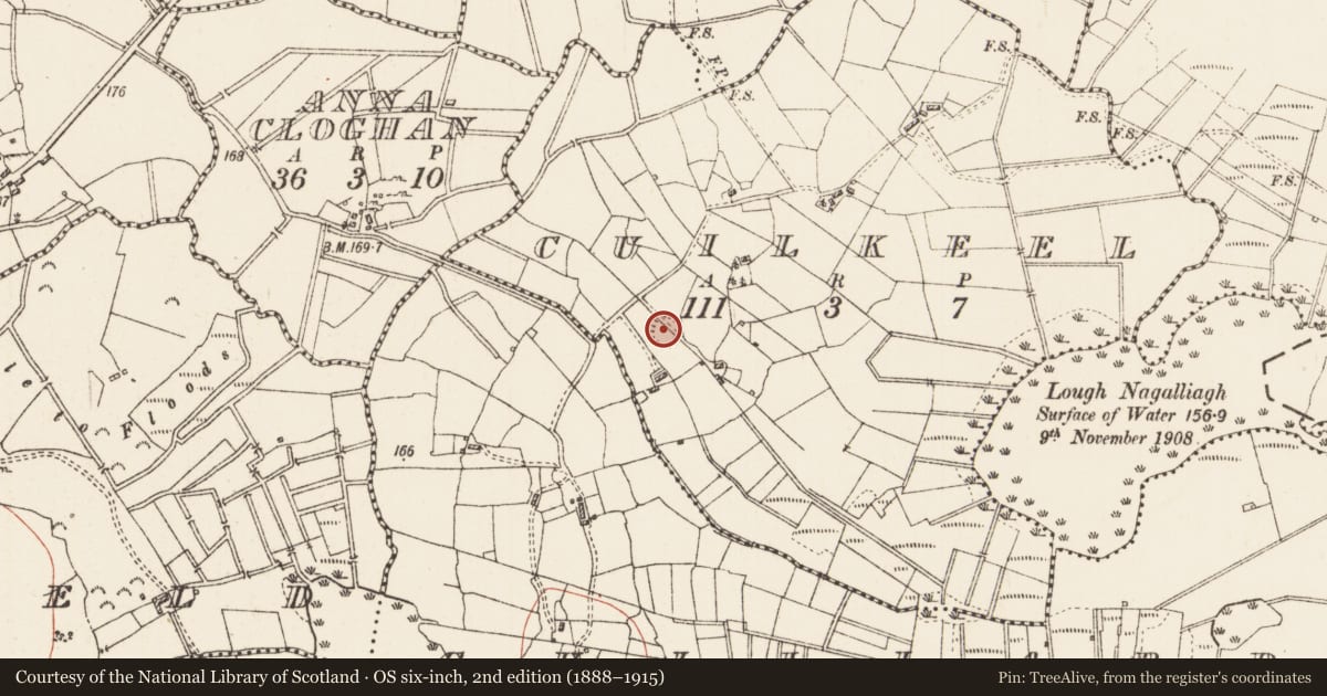 Ordnance Survey six-inch map, 2nd edition (1888–1915) covering the location of Ringfort - rath, Cuilkeel, County Roscommon, with a pin at the register's coordinates