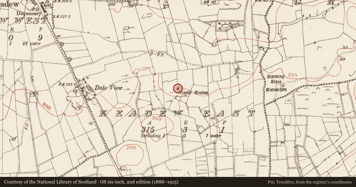 Ordnance Survey six-inch map, 2nd edition (1888–1915) covering the location of Megalithic tomb - court tomb, Keadew East, County Roscommon, with a pin at the register's coordinates