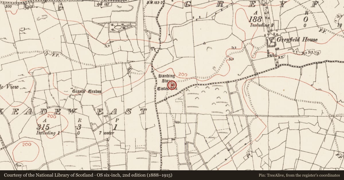 Ordnance Survey six-inch map, 2nd edition (1888–1915) covering the location of Standing stone, Greyfield, County Roscommon, with a pin at the register's coordinates