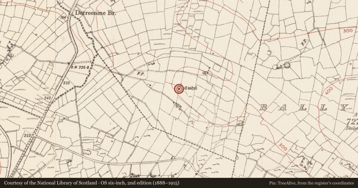 Ordnance Survey six-inch map, 2nd edition (1888–1915) covering the location of Ringfort - cashel, Derreenadouglas, County Roscommon, with a pin at the register's coordinates