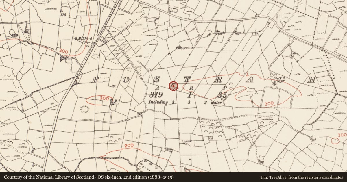 Ordnance Survey six-inch map, 2nd edition (1888–1915) covering the location of Ringfort - cashel, Fostragh, County Roscommon, with a pin at the register's coordinates