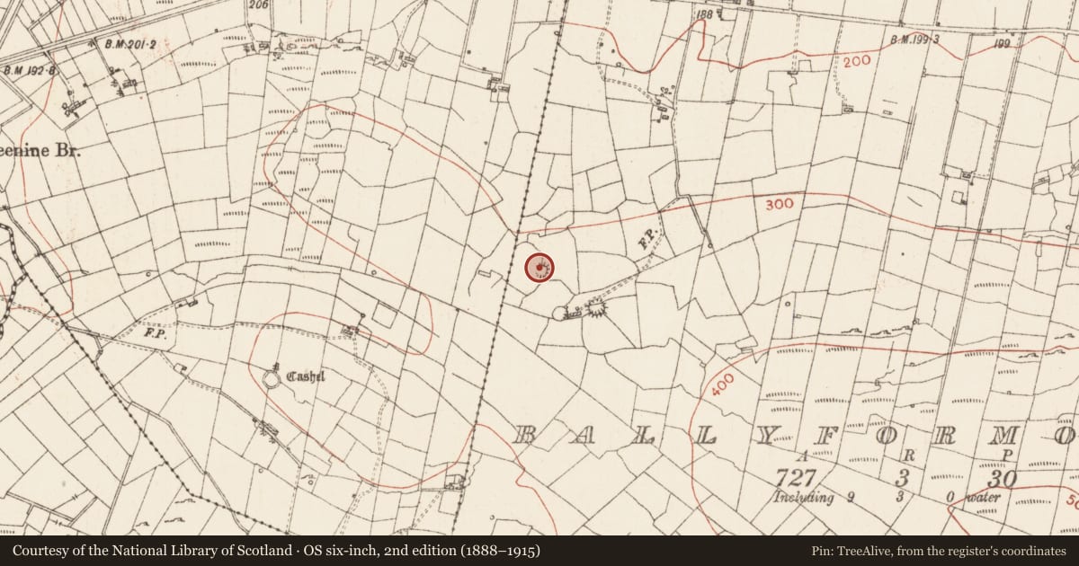 Ordnance Survey six-inch map, 2nd edition (1888–1915) covering the location of Ringfort - rath, Ballyformoyle, County Roscommon, with a pin at the register's coordinates