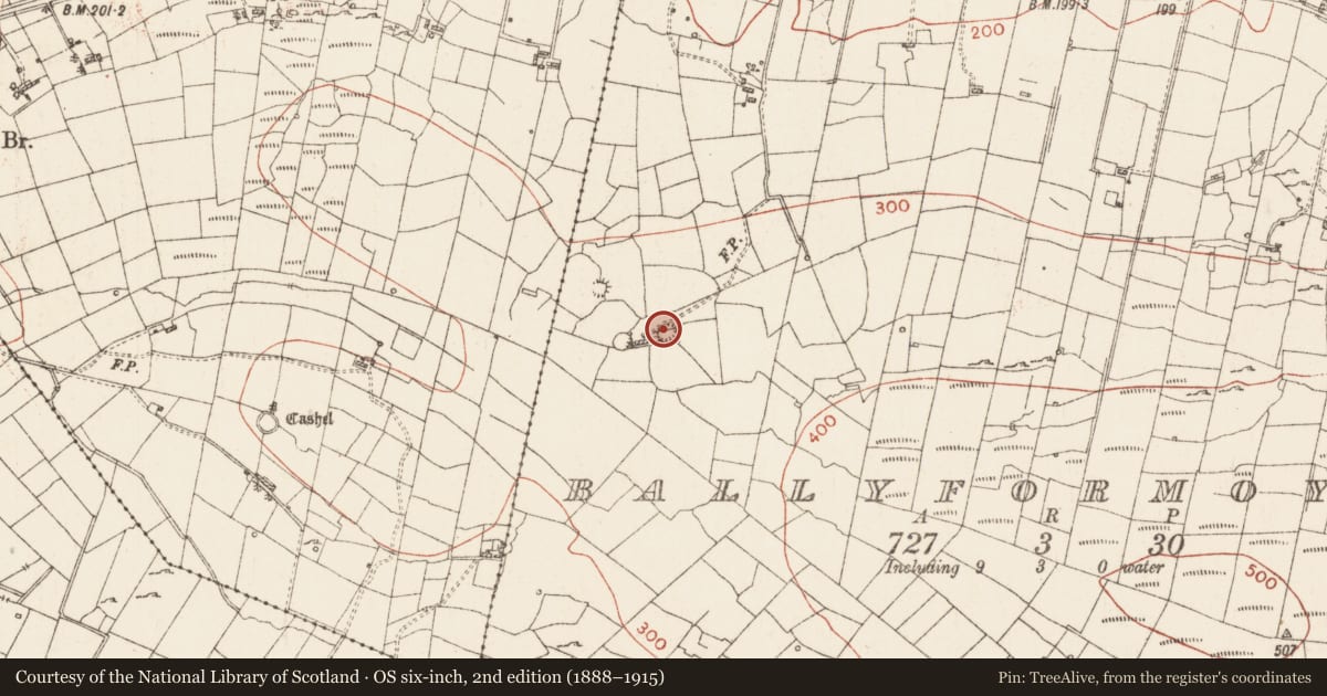 Ordnance Survey six-inch map, 2nd edition (1888–1915) covering the location of Ringfort - rath, Ballyformoyle, County Roscommon, with a pin at the register's coordinates