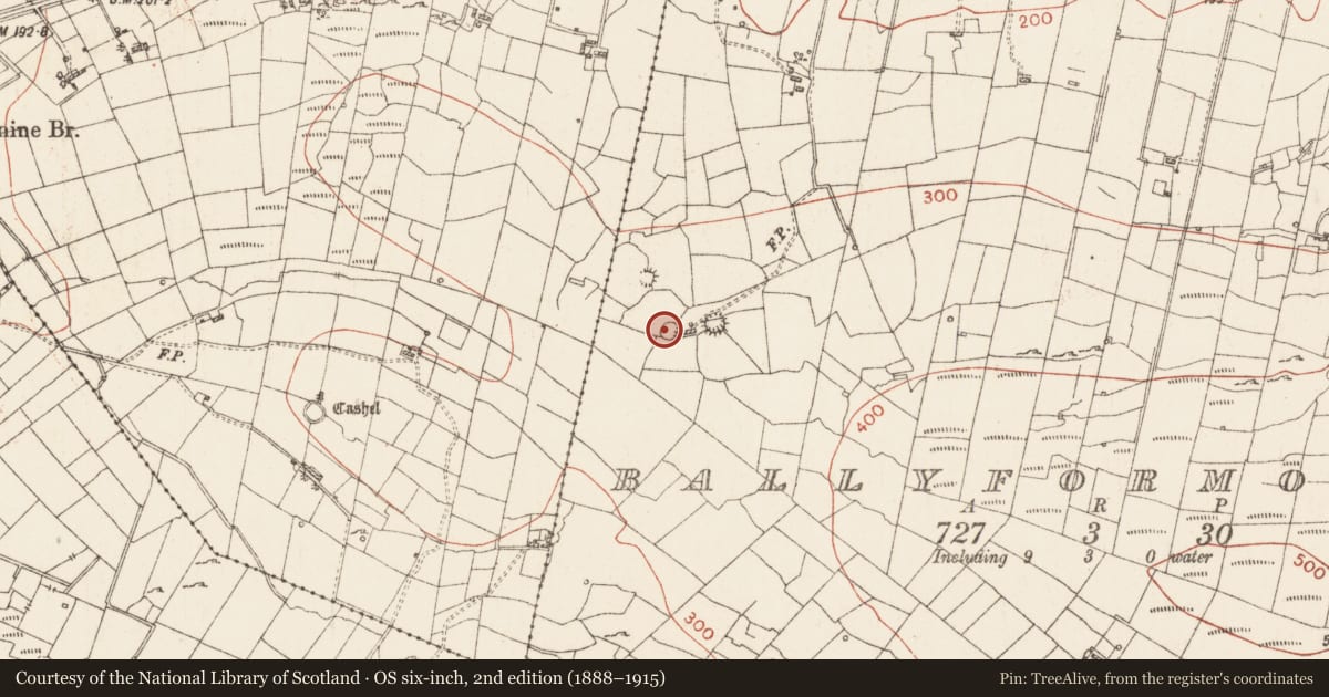 Ordnance Survey six-inch map, 2nd edition (1888–1915) covering the location of Ringfort - cashel, Ballyformoyle, County Roscommon, with a pin at the register's coordinates