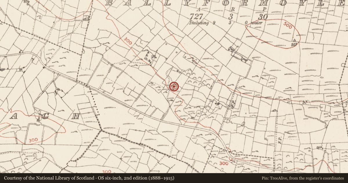 Ordnance Survey six-inch map, 2nd edition (1888–1915) covering the location of Earthwork, Ballyformoyle, County Roscommon, with a pin at the register's coordinates