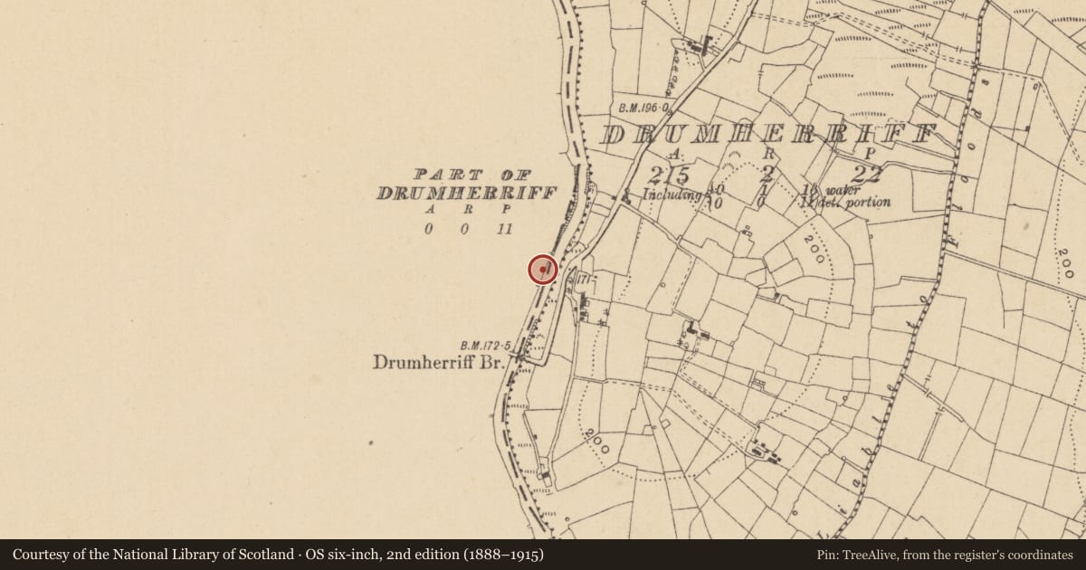 Ordnance Survey six-inch map, 2nd edition (1888–1915) covering the location of Weir - regulating, Derreenasoo, County Roscommon, with a pin at the register's coordinates