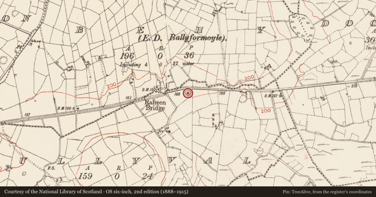 Ordnance Survey six-inch map, 2nd edition (1888–1915) covering the location of Ringfort - rath, Tullyval, County Roscommon, with a pin at the register's coordinates