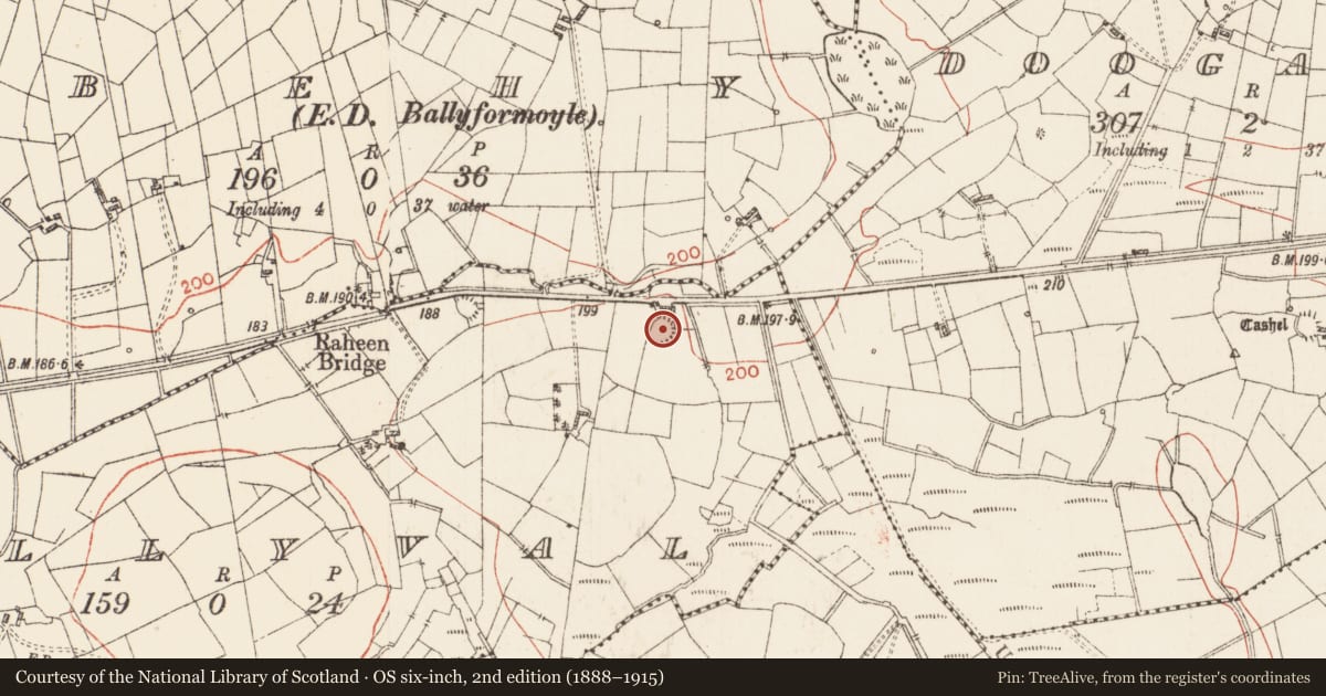 Ordnance Survey six-inch map, 2nd edition (1888–1915) covering the location of Ringfort - rath, Tullyval, County Roscommon, with a pin at the register's coordinates