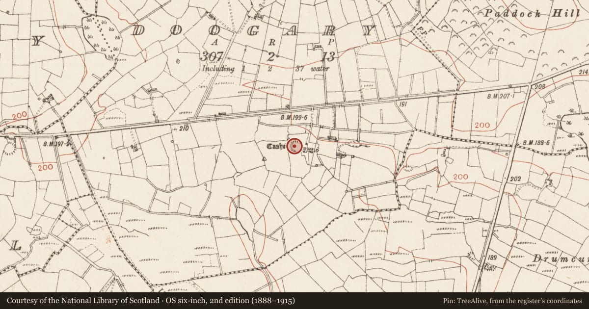 Ordnance Survey six-inch map, 2nd edition (1888–1915) covering the location of Ringfort - cashel, Doogary, County Roscommon, with a pin at the register's coordinates