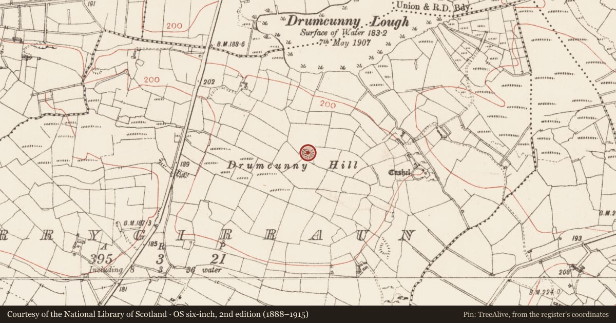 Ordnance Survey six-inch map, 2nd edition (1888–1915) covering the location of Ringfort - rath, Derrygirraun, County Roscommon, with a pin at the register's coordinates