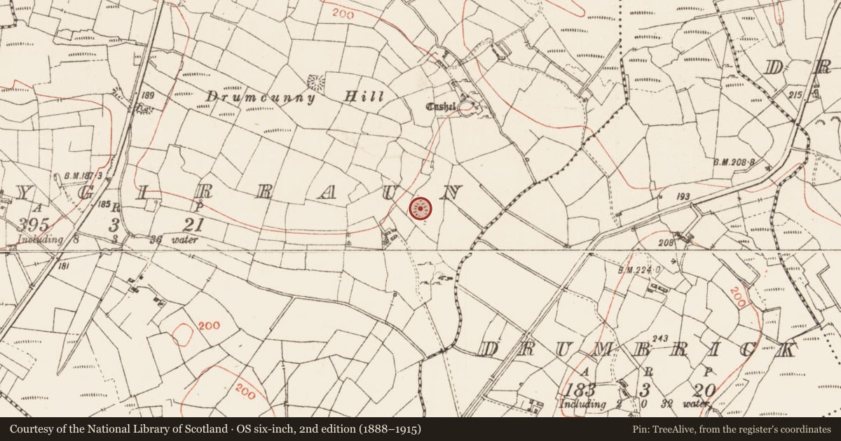 Ordnance Survey six-inch map, 2nd edition (1888–1915) covering the location of Ringfort - rath, Derrygirraun, County Roscommon, with a pin at the register's coordinates