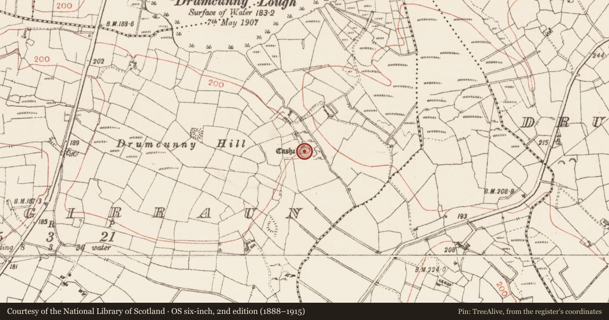 Ordnance Survey six-inch map, 2nd edition (1888–1915) covering the location of Ringfort - cashel, Derrygirraun, County Roscommon, with a pin at the register's coordinates