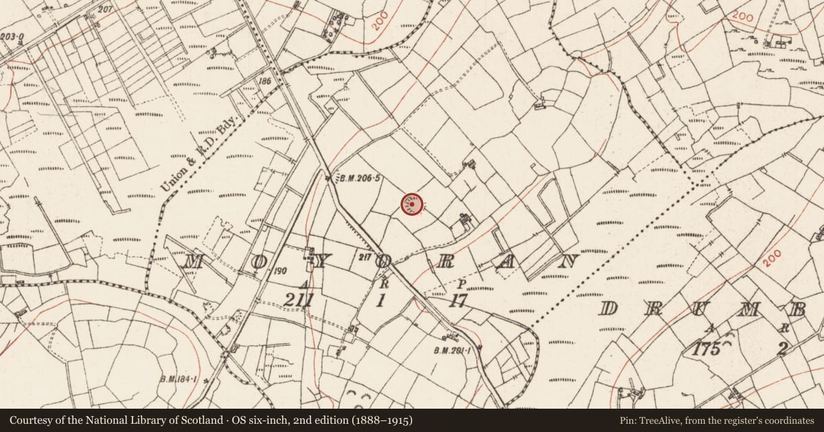 Ordnance Survey six-inch map, 2nd edition (1888–1915) covering the location of Ringfort - rath, Moyoran, County Roscommon, with a pin at the register's coordinates