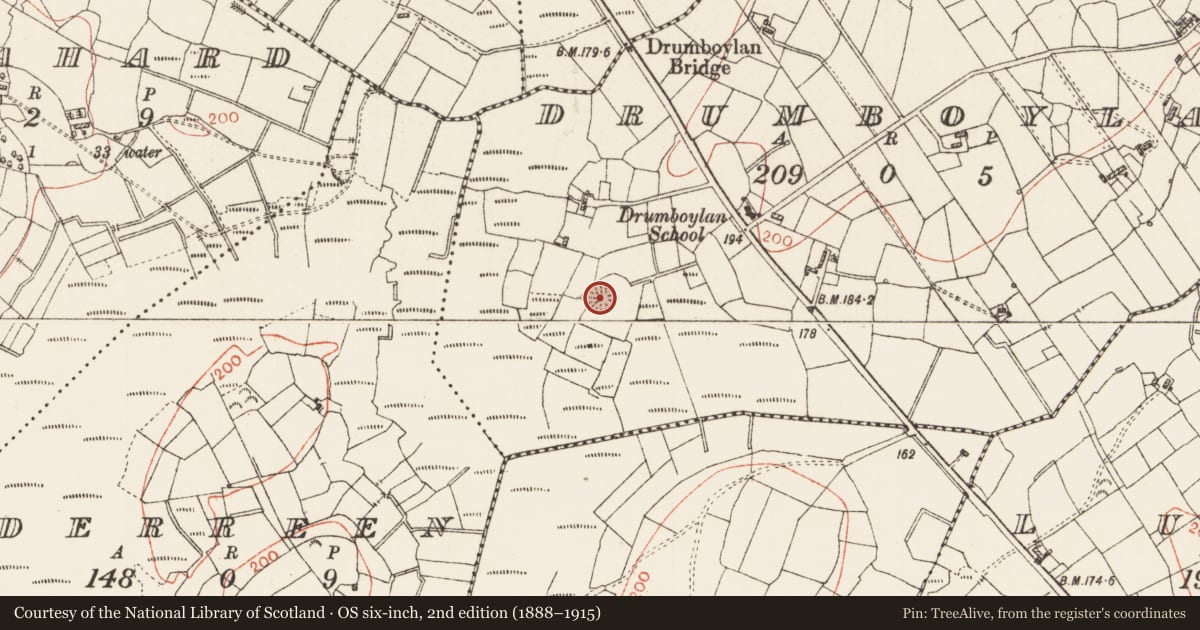 Ordnance Survey six-inch map, 2nd edition (1888–1915) covering the location of Ringfort - rath, Drumboylan, County Roscommon, with a pin at the register's coordinates