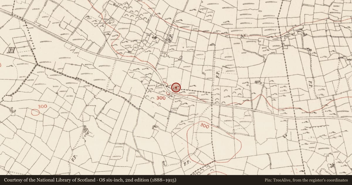 Ordnance Survey six-inch map, 2nd edition (1888–1915) covering the location of Megalithic structure, Ballyformoyle, County Roscommon, with a pin at the register's coordinates