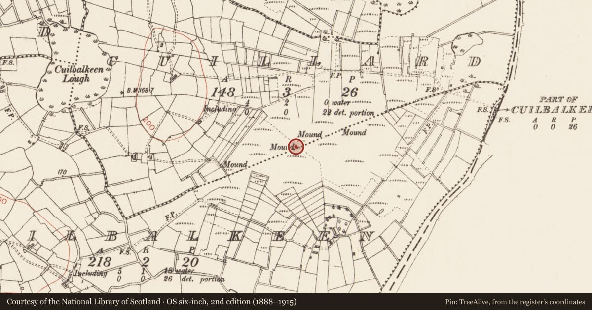 Ordnance Survey six-inch map, 2nd edition (1888–1915) covering the location of Boundary mound, Cuilbalkeen, Cuillard, County Roscommon, with a pin at the register's coordinates