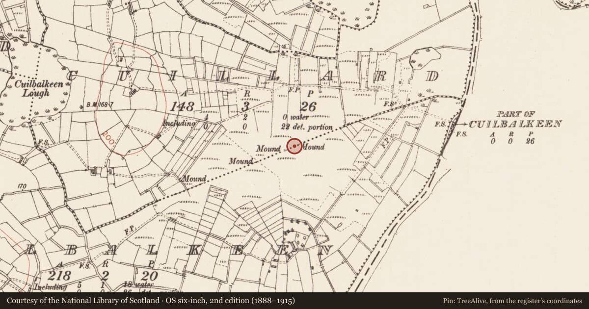 Ordnance Survey six-inch map, 2nd edition (1888–1915) covering the location of Boundary mound, Cuilbalkeen, Cuillard, County Roscommon, with a pin at the register's coordinates