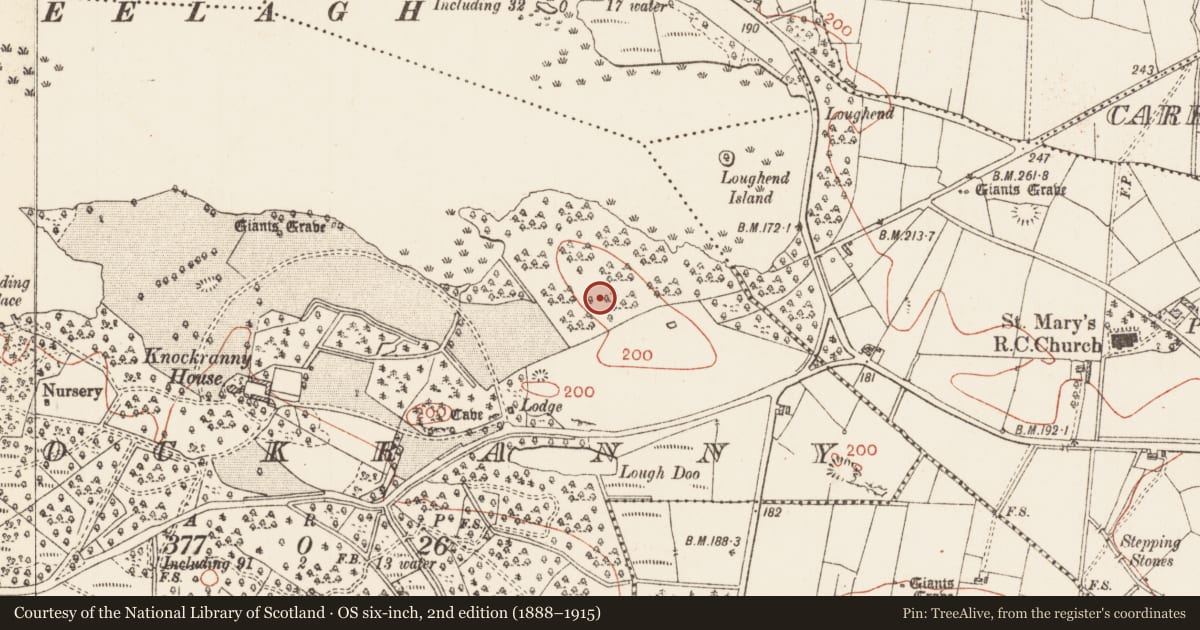 Ordnance Survey six-inch map, 2nd edition (1888–1915) covering the location of Megalithic tomb - court tomb, Knockranny, County Roscommon, with a pin at the register's coordinates