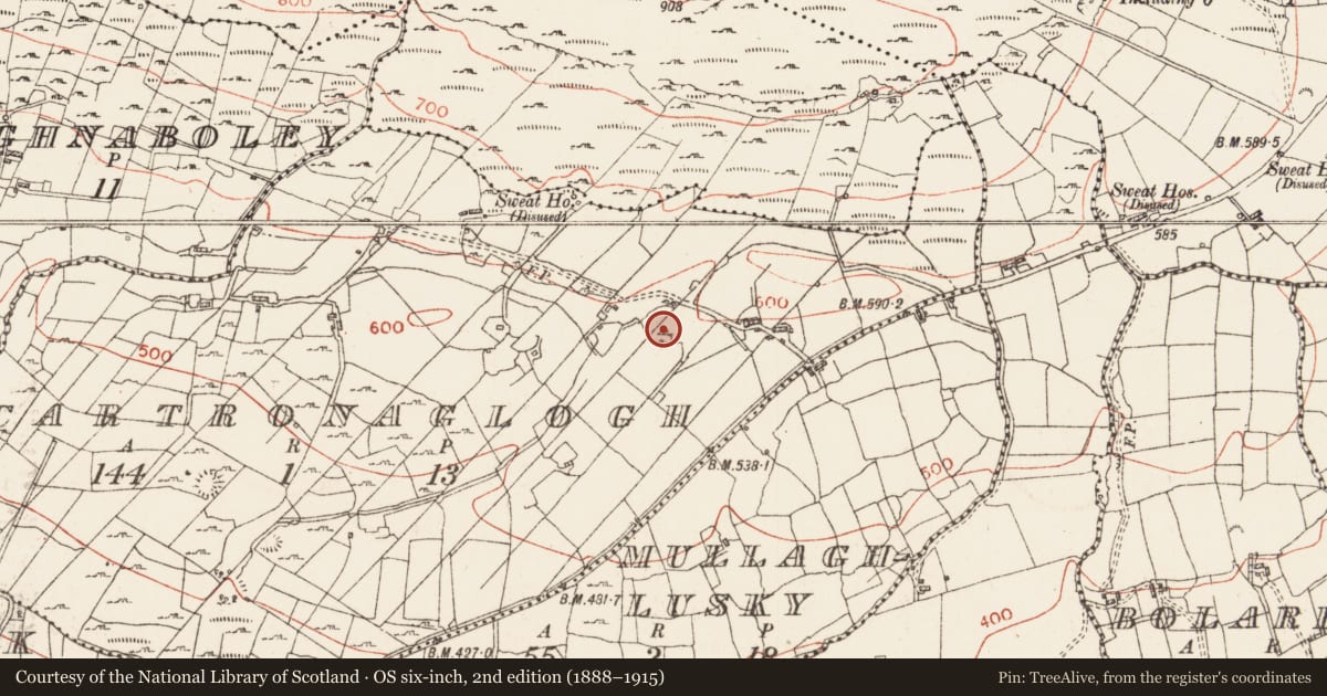 Ordnance Survey six-inch map, 2nd edition (1888–1915) covering the location of Megalithic tomb - wedge tomb, Cartronaglogh, County Roscommon, with a pin at the register's coordinates