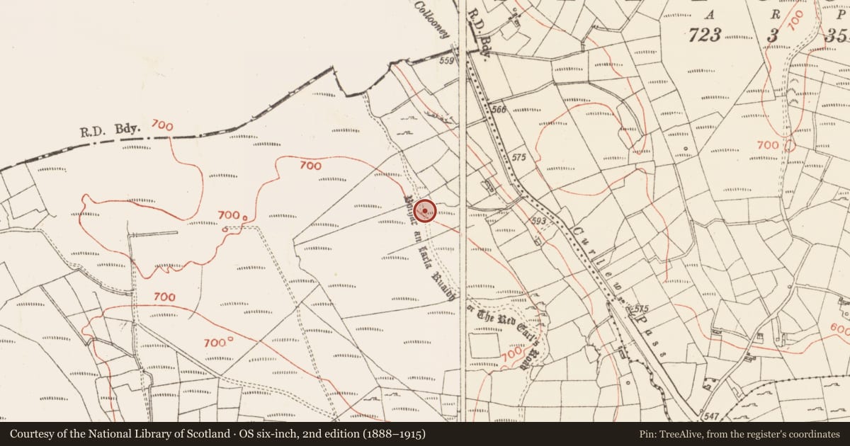 Ordnance Survey six-inch map, 2nd edition (1888–1915) covering the location of Road - road/trackway, Garrow, County Roscommon, with a pin at the register's coordinates