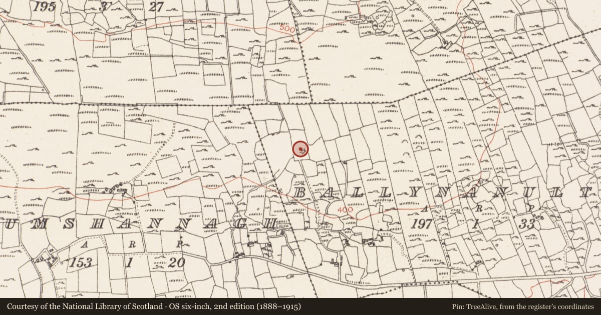 Ordnance Survey six-inch map, 2nd edition (1888–1915) covering the location of Hut site, Ballynanultagh, County Roscommon, with a pin at the register's coordinates