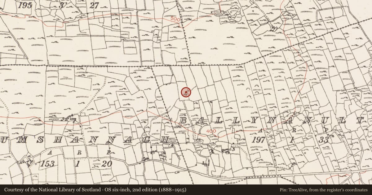 Ordnance Survey six-inch map, 2nd edition (1888–1915) covering the location of Enclosure, Ballynanultagh, County Roscommon, with a pin at the register's coordinates