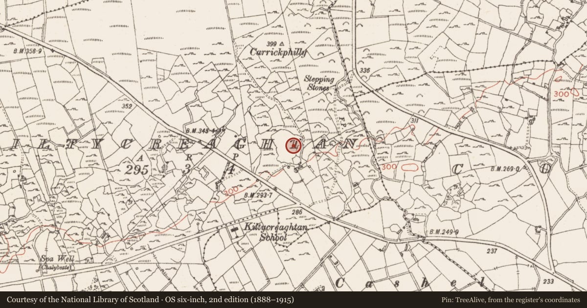 Ordnance Survey six-inch map, 2nd edition (1888–1915) covering the location of Ringfort - rath, Kiltycreaghtan, County Roscommon, with a pin at the register's coordinates