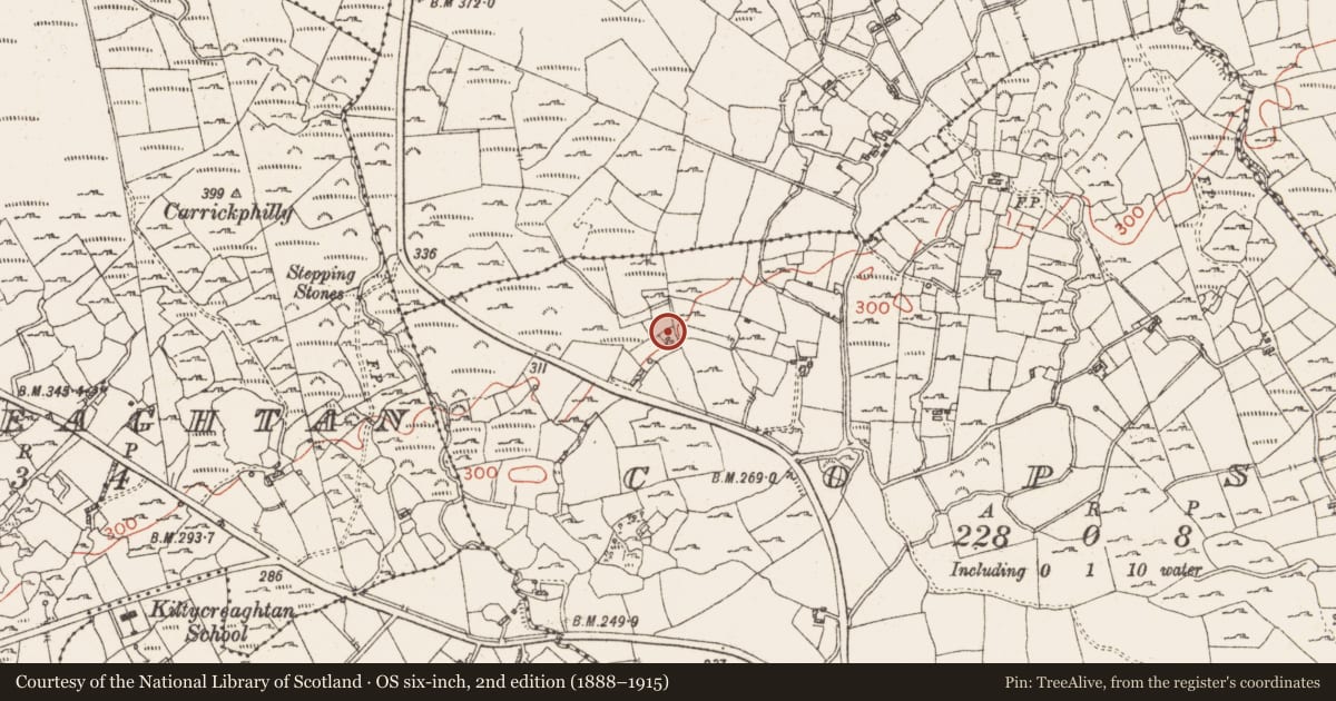 Ordnance Survey six-inch map, 2nd edition (1888–1915) covering the location of Ringfort - rath, Copse, County Roscommon, with a pin at the register's coordinates