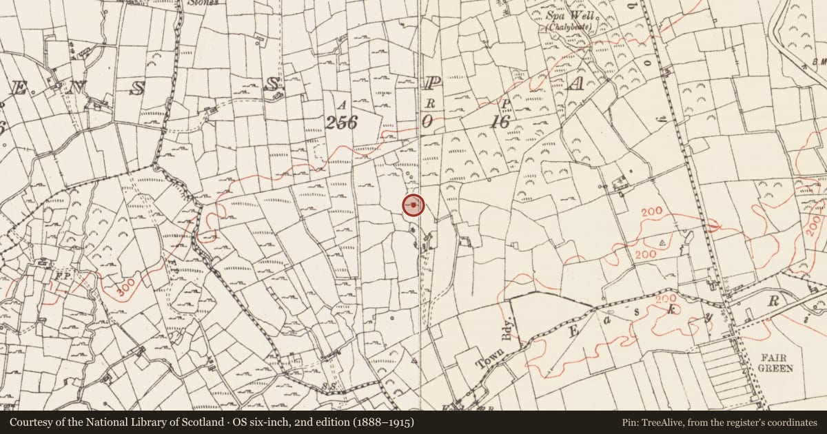 Ordnance Survey six-inch map, 2nd edition (1888–1915) covering the location of Enclosure, Spa, County Roscommon, with a pin at the register's coordinates