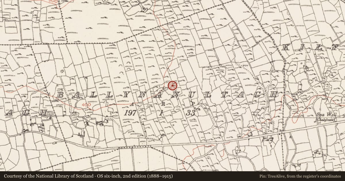 Ordnance Survey six-inch map, 2nd edition (1888–1915) covering the location of Ringfort - cashel, Ballynanultagh, County Roscommon, with a pin at the register's coordinates