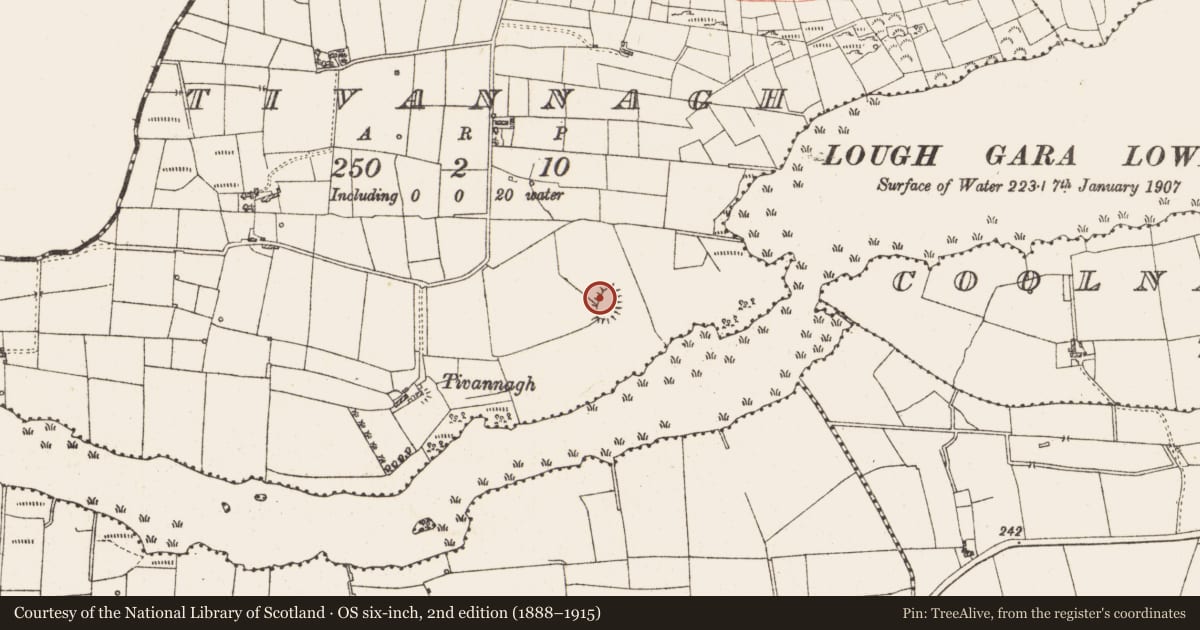 Ordnance Survey six-inch map, 2nd edition (1888–1915) covering the location of Ringfort - cashel, Tivannagh, County Roscommon, with a pin at the register's coordinates