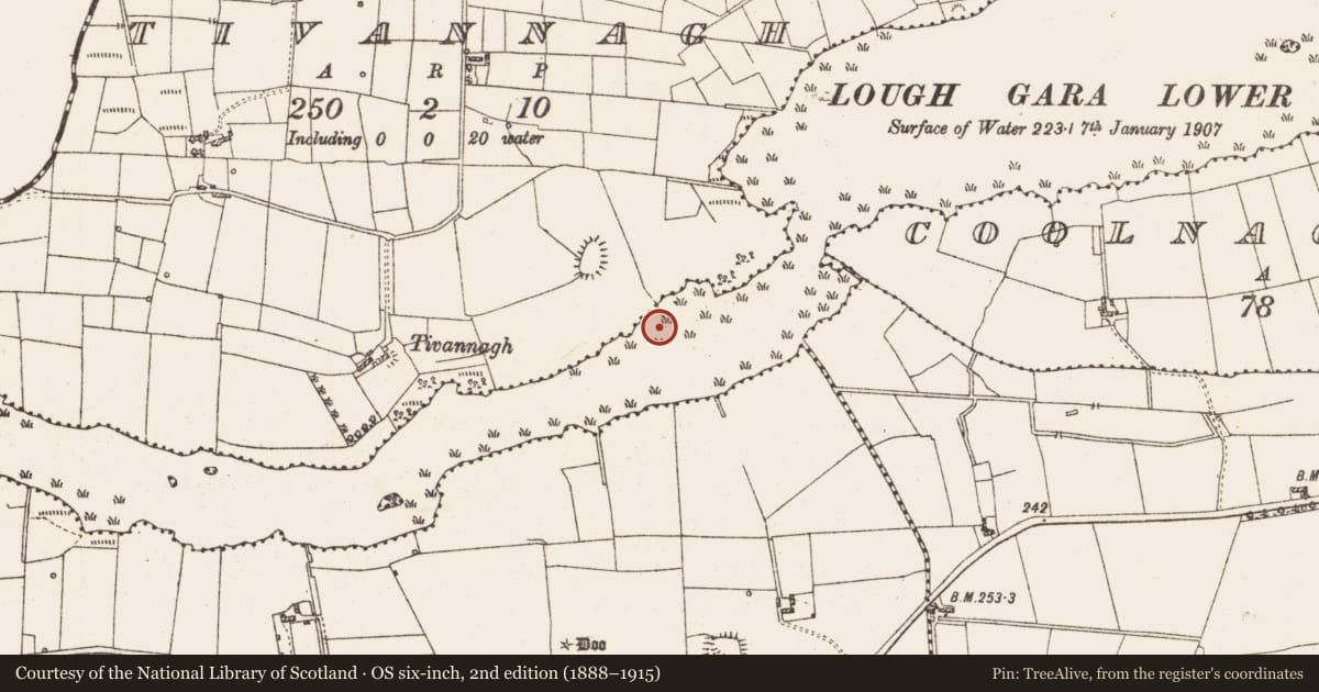 Ordnance Survey six-inch map, 2nd edition (1888–1915) covering the location of Settlement platform, Lough Gara, County Roscommon, with a pin at the register's coordinates