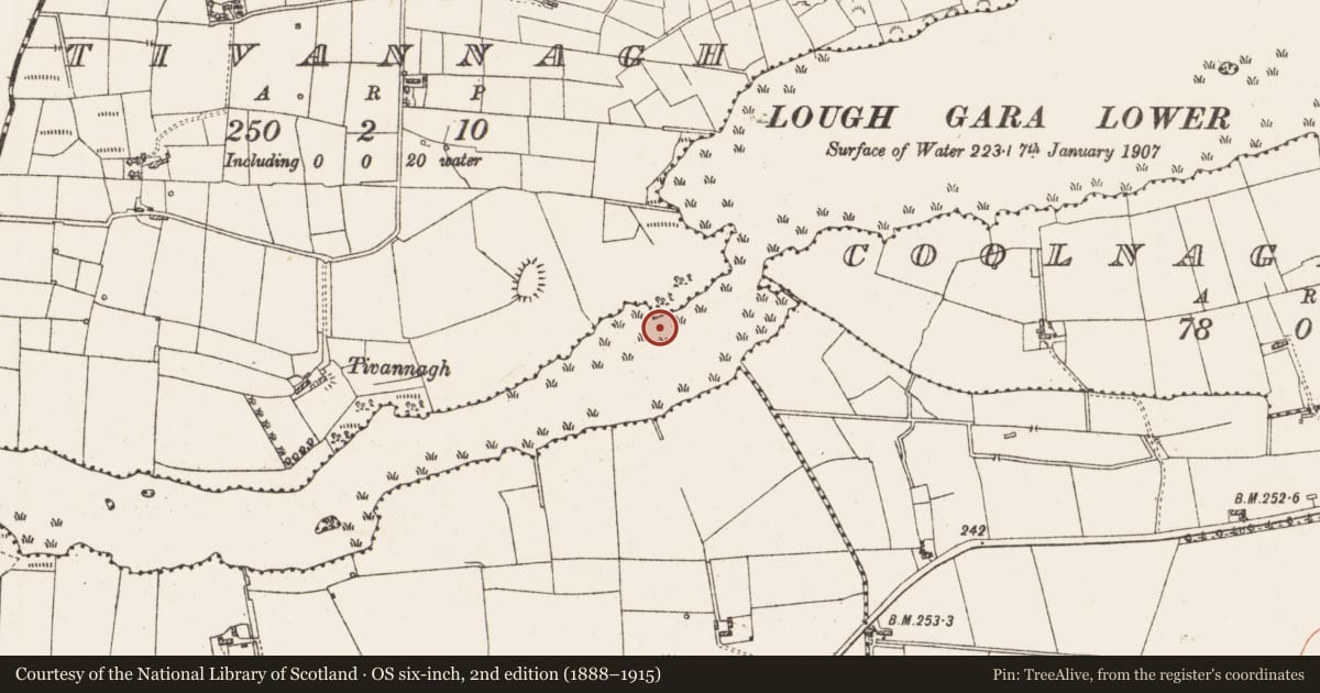 Ordnance Survey six-inch map, 2nd edition (1888–1915) covering the location of Settlement platform, Lough Gara, County Roscommon, with a pin at the register's coordinates