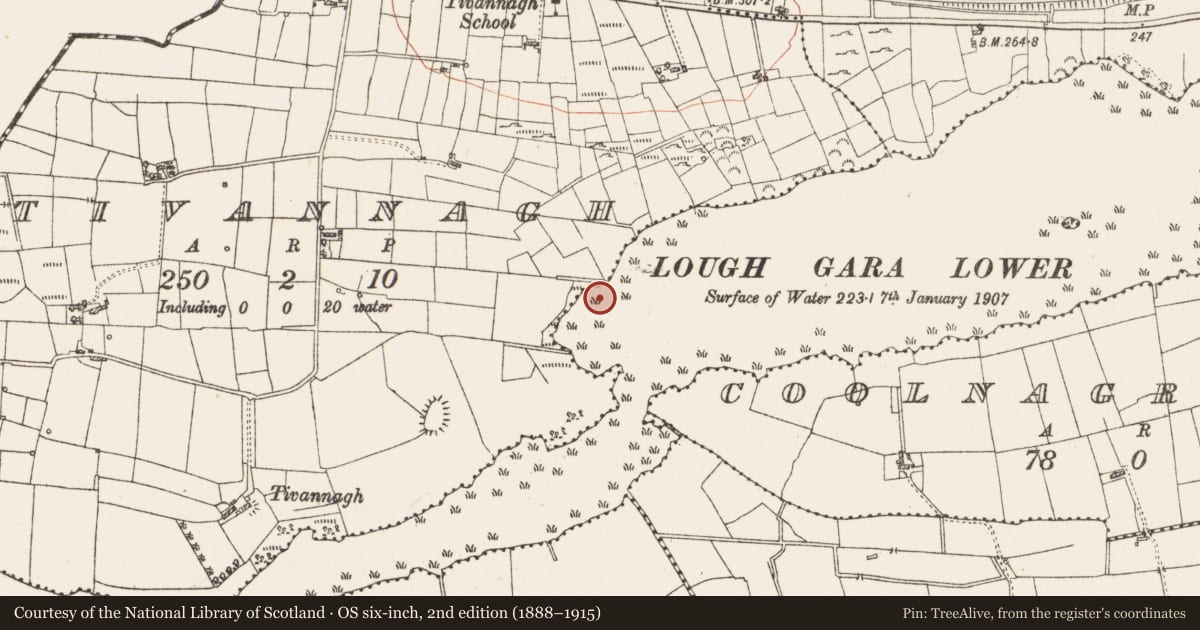 Ordnance Survey six-inch map, 2nd edition (1888–1915) covering the location of Settlement platform, Lough Gara, County Roscommon, with a pin at the register's coordinates