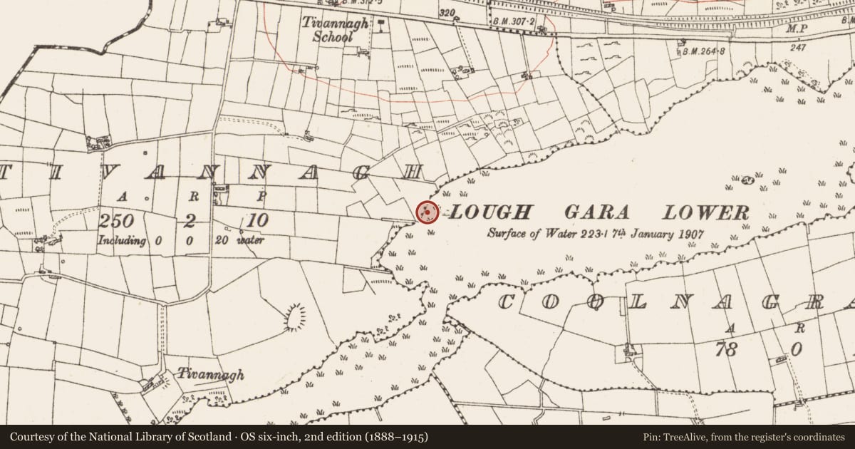 Ordnance Survey six-inch map, 2nd edition (1888–1915) covering the location of Settlement platform, Lough Gara, County Roscommon, with a pin at the register's coordinates