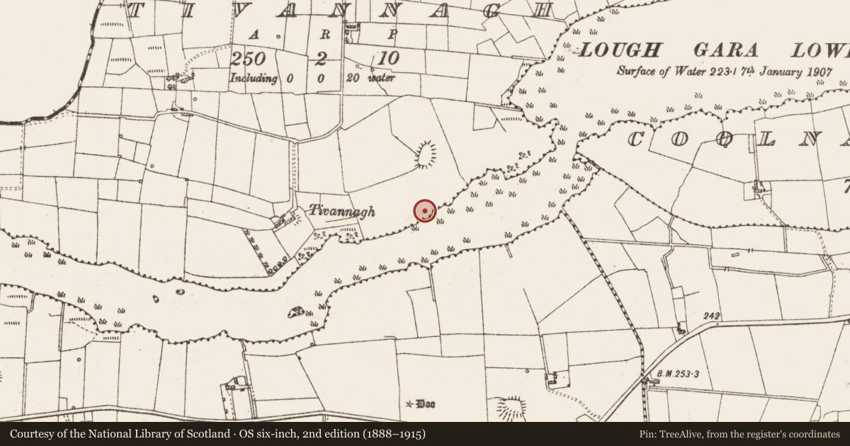 Ordnance Survey six-inch map, 2nd edition (1888–1915) covering the location of Settlement platform, Lough Gara, County Roscommon, with a pin at the register's coordinates