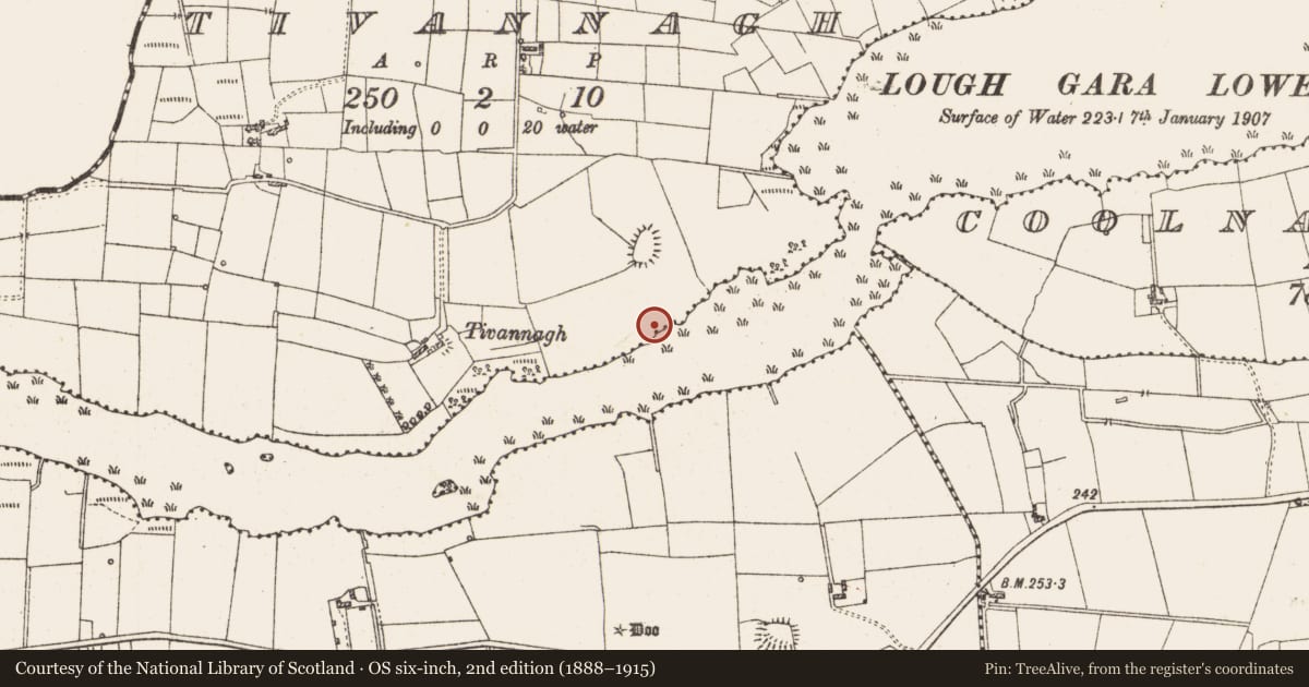 Ordnance Survey six-inch map, 2nd edition (1888–1915) covering the location of Settlement platform, Lough Gara, County Roscommon, with a pin at the register's coordinates
