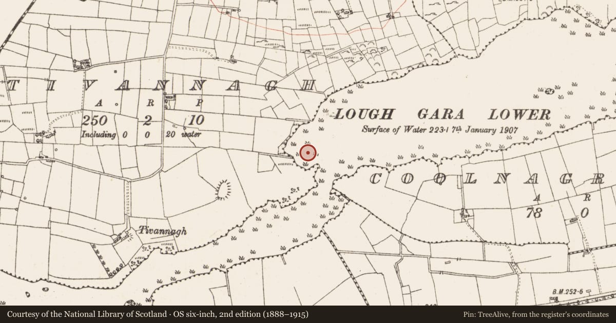 Ordnance Survey six-inch map, 2nd edition (1888–1915) covering the location of Settlement platform, Lough Gara, County Roscommon, with a pin at the register's coordinates