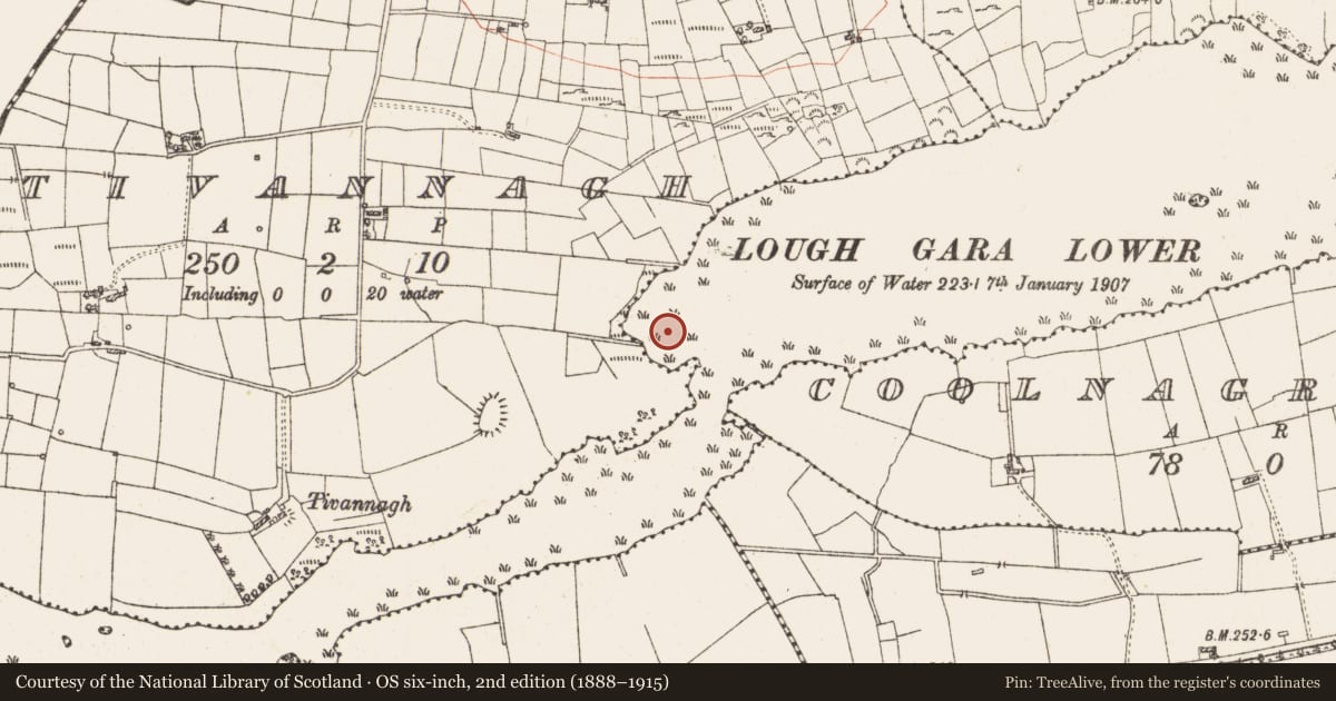 Ordnance Survey six-inch map, 2nd edition (1888–1915) covering the location of Settlement platform, Lough Gara, County Roscommon, with a pin at the register's coordinates